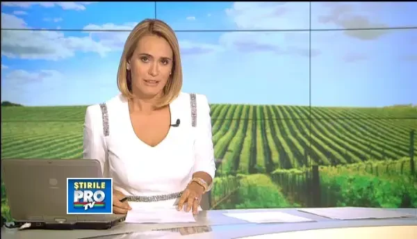 Locul in care poti ajunge singur pe insula. Traditia, vinul si mancarurile din Tinutul Ostrovului