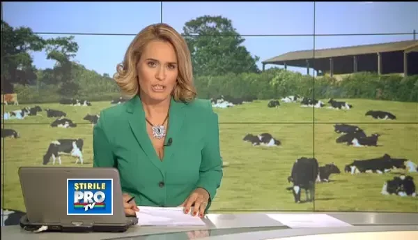 Baltata romaneasca, chinezarie pe bani frumosi. Exportam vaci si porci celor mai mari consumatori