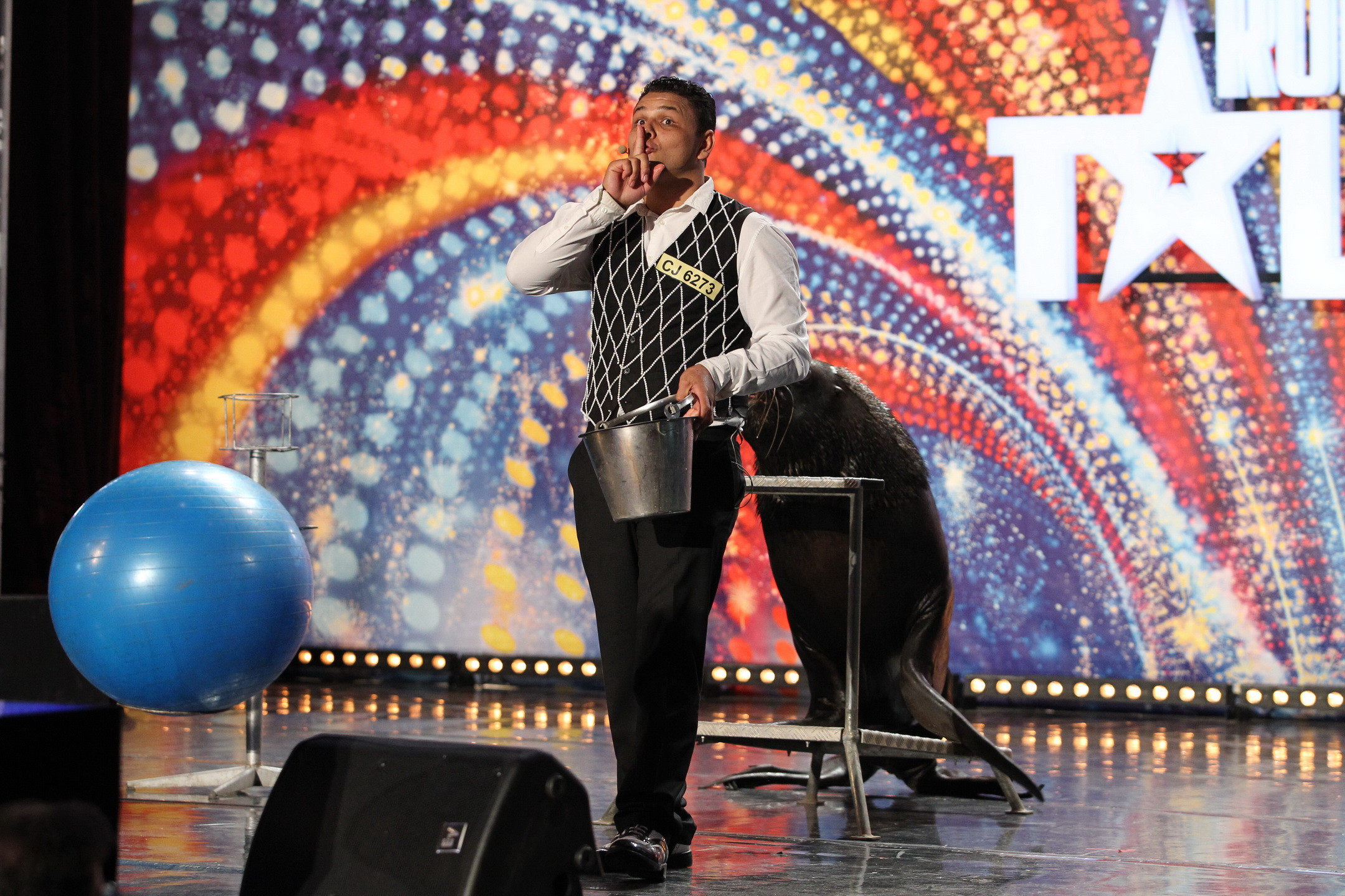 romanii au talent - concurent cu foca