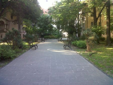 Locuri ideale in care poti lua pranzul in Bucuresti! Cele mai cool parcuri: