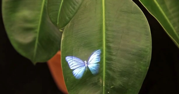 Cum poti sa atingi hologramele. Inventia care transforma in realitate o idee aparent imposibila