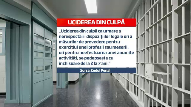 neglijenta caini ionut - 3