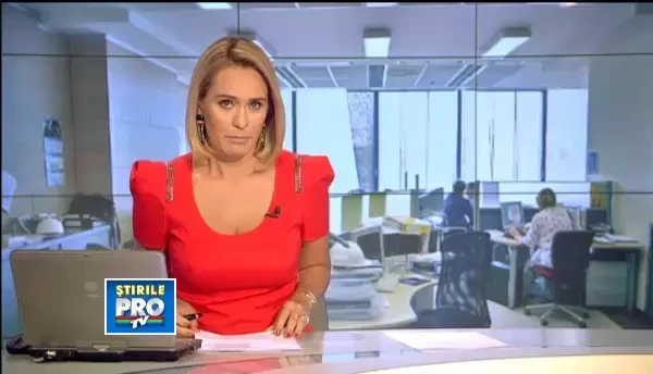 Doar 8 hingheri ar trebui sa adune 65.000 de maidanezi. Banii alocati se duc pe cheltuieli diverse