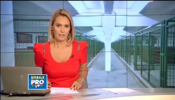 Afacerea Dog Town. Legatura dintre fondatorii celui mai mare oras de caini si Sorin Oprescu