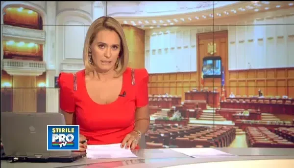 Legea cainilor fara stapan va fi dezbatuta peste o saptamana la comisii in Camera Deputatilor