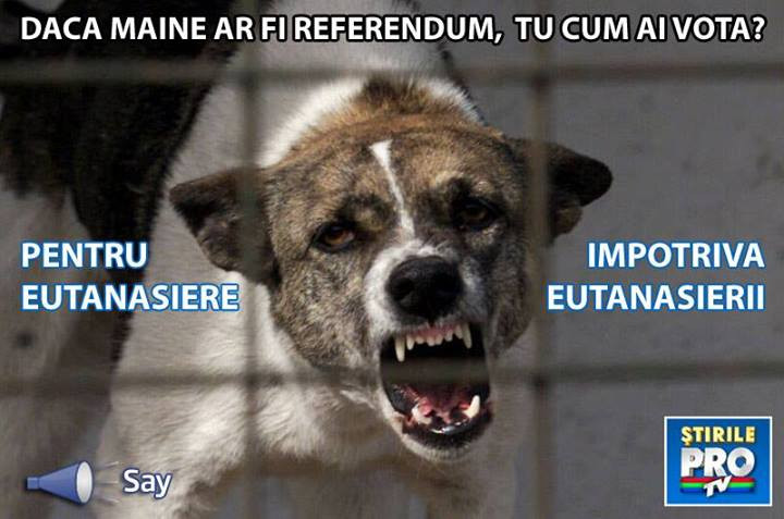 Daca maine ar fi referendum, tu cum ai vota, pentru eutanasiere sau impotriva? Comenteaza aici