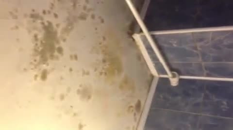 Cum arata un hotel din Mamaia unde platesti 190 de lei/ noapte. "Poti sa te imbolnavesti aici"