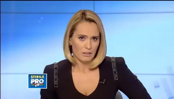 Cum au ajuns "iubitorii de animale" sa sfideze legea si sa intretina adoptiile false de maidanezi