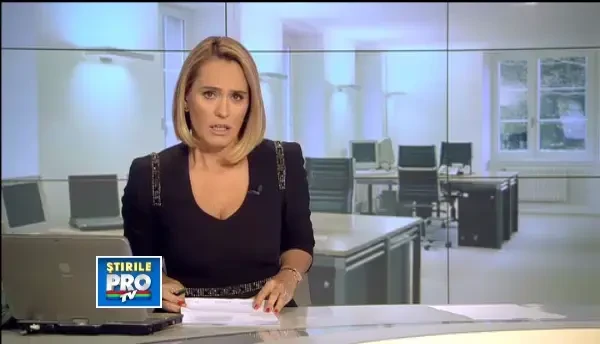 Risipa de la ASPA. Cum s-au scurs fondurile intr-o institutie incapabila sa adune cainii strazii