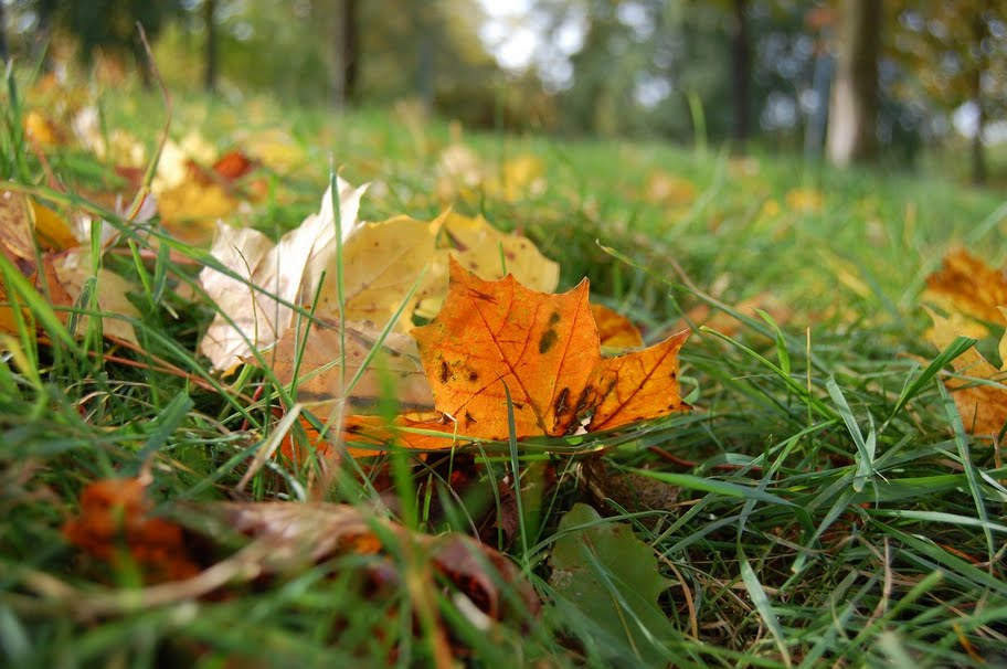 Maxime de 28 de grade si ploi in mai multe zone ale tarii. Prognoza meteo pentru weekend