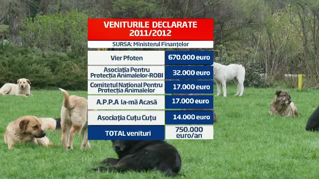 Cat de profitabil mai e sa iubesti animalele in Romania. Pe ce se duc anual sute de mii de euro