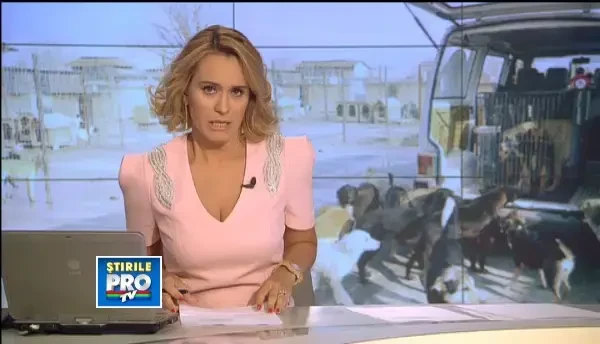 Cat de profitabil mai e sa iubesti animalele in Romania. Pe ce se duc anual sute de mii de euro