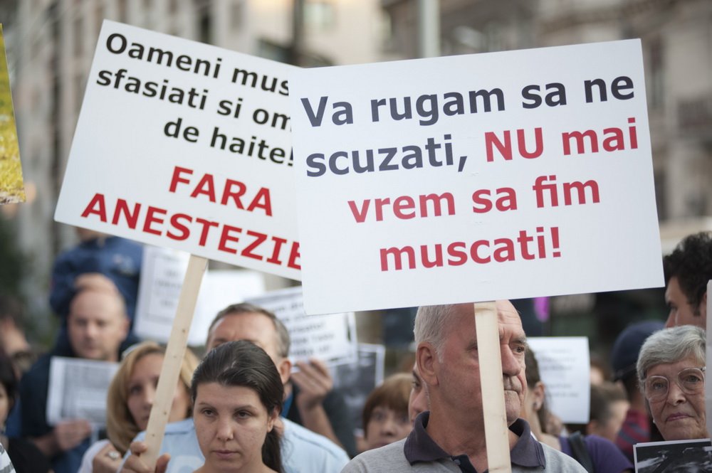 protest