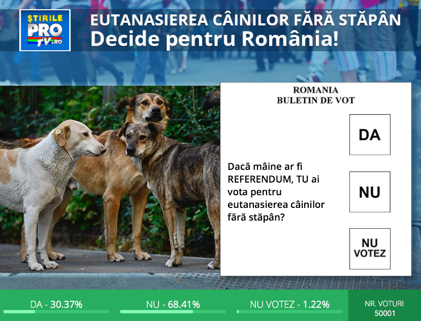 Esti sau nu de acord cu EUTANASIEREA cainilor maidanezi. Voteaza acum in aplicatia StirileProTV.ro