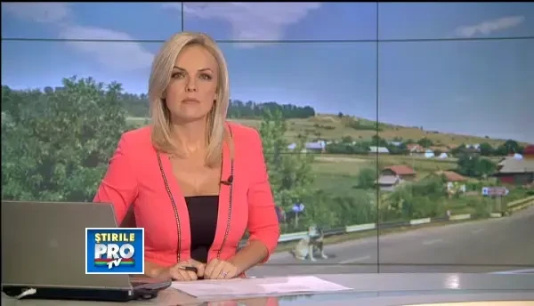 De la Sami in Suceava pana la Ionut in Bucuresti. Un an in care pe copii nu i-a protejat nimeni