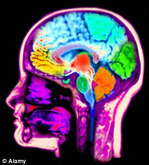 Ce diferente exista intre persoanele creative si cele care studiaza stiintele exacte. Cele mai bune exercitii pentru creier