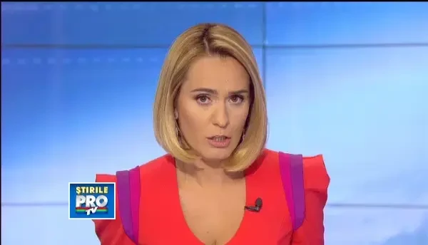 Administratorul firmei pe terenul careia Ionut a fost omorat de caini, audiat la Parchet