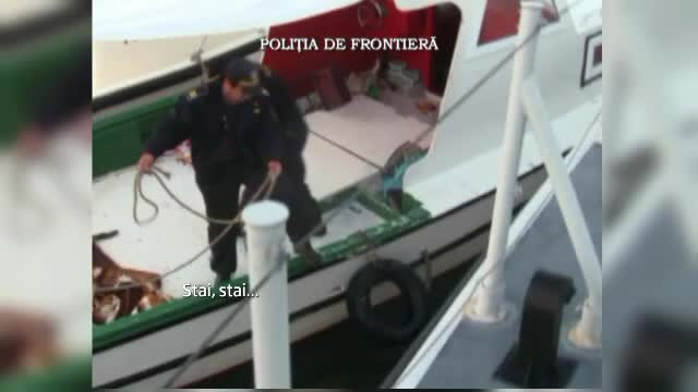 Val de imigranti sirieni in Romania. Sunt dispusi sa-si riste viata pentru a scapa de iadul din tara