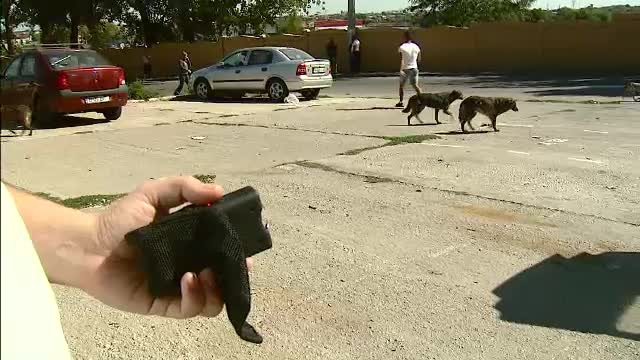 Metoda prin care bucurestenii incearca sa se protejeze.Cum functioneaza dispozitivele anti-maidanezi