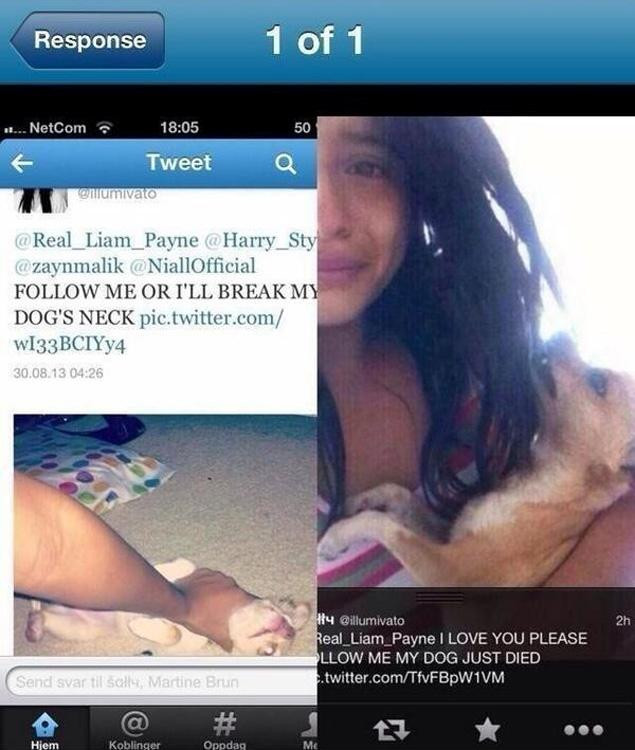 "Dati-mi follow pe Twitter sau rup gatul cainelui." Gestul bolnav al unei tinere