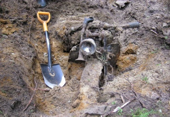 Ce a gasit un barbat cu un detector de metale, in padure. "La asta chiar nu m-am asteptat"