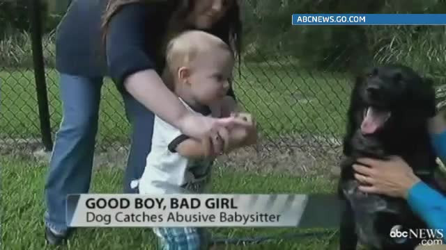 Un catel din SUA l-a salvat pe un bebelus care era abuzat. Cum a demascat-o pe bona care il maltrata