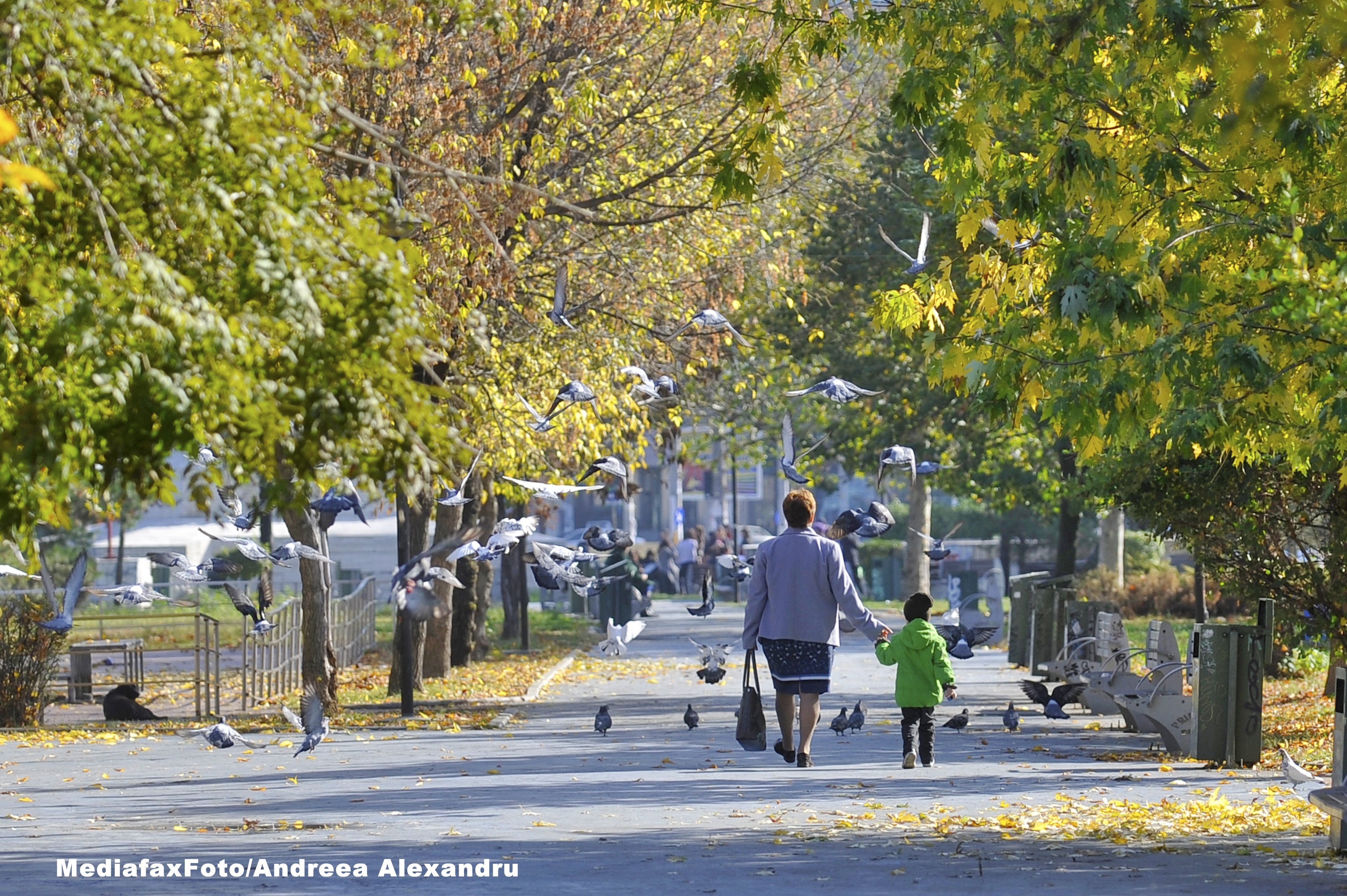 Vremea va fi mai calda decat in mod normal pentru aceasta perioada. Prognoza meteo pentru vineri