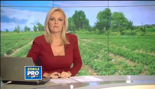 Hotii strang inaintea fermierilor recoltele bogate. Solutia agricultorilor din vestul tarii