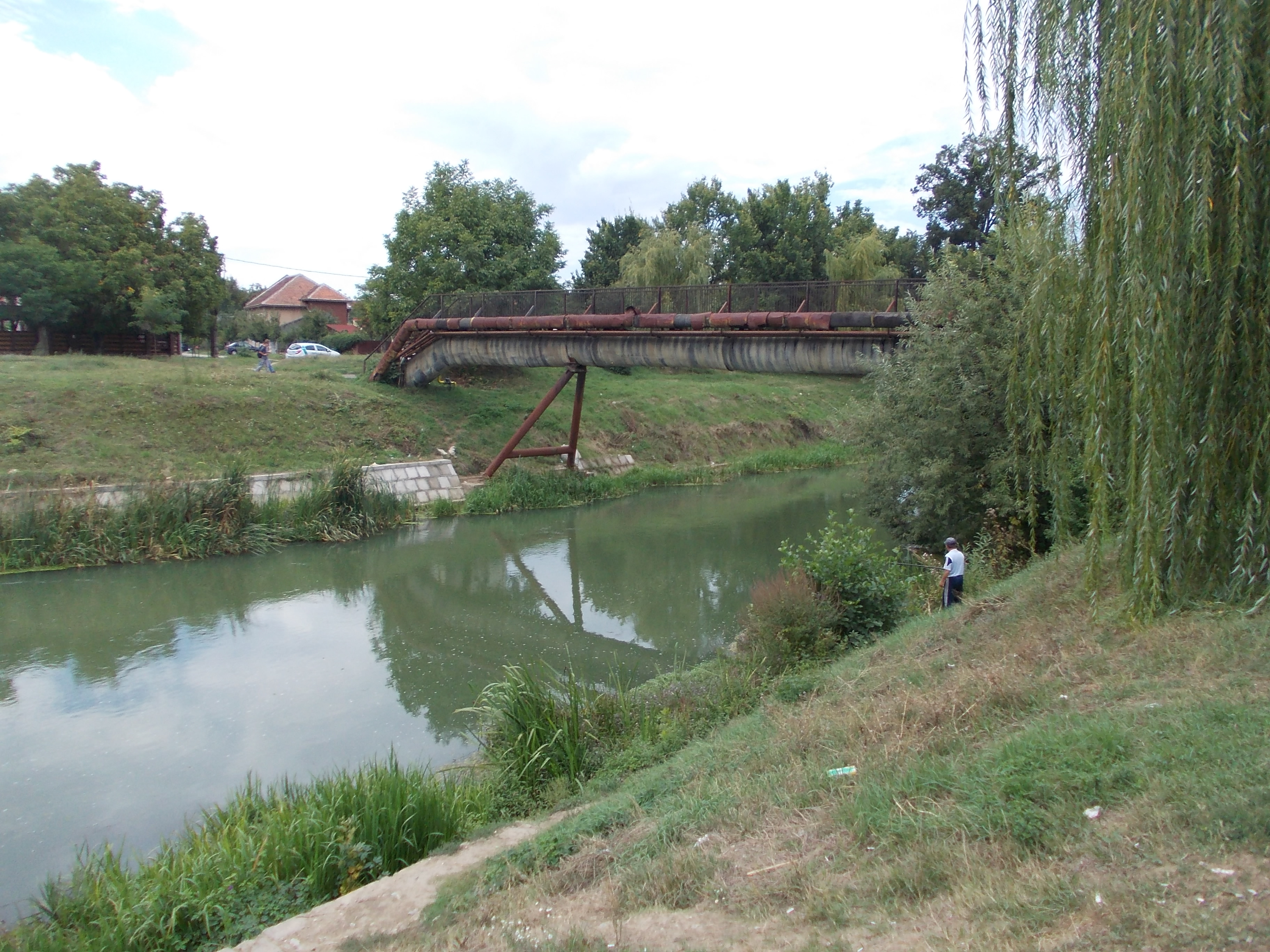 Incepe reabilitarea malurilor canalului Bega. Cand demareaza lucrarile si ce contine proiectul