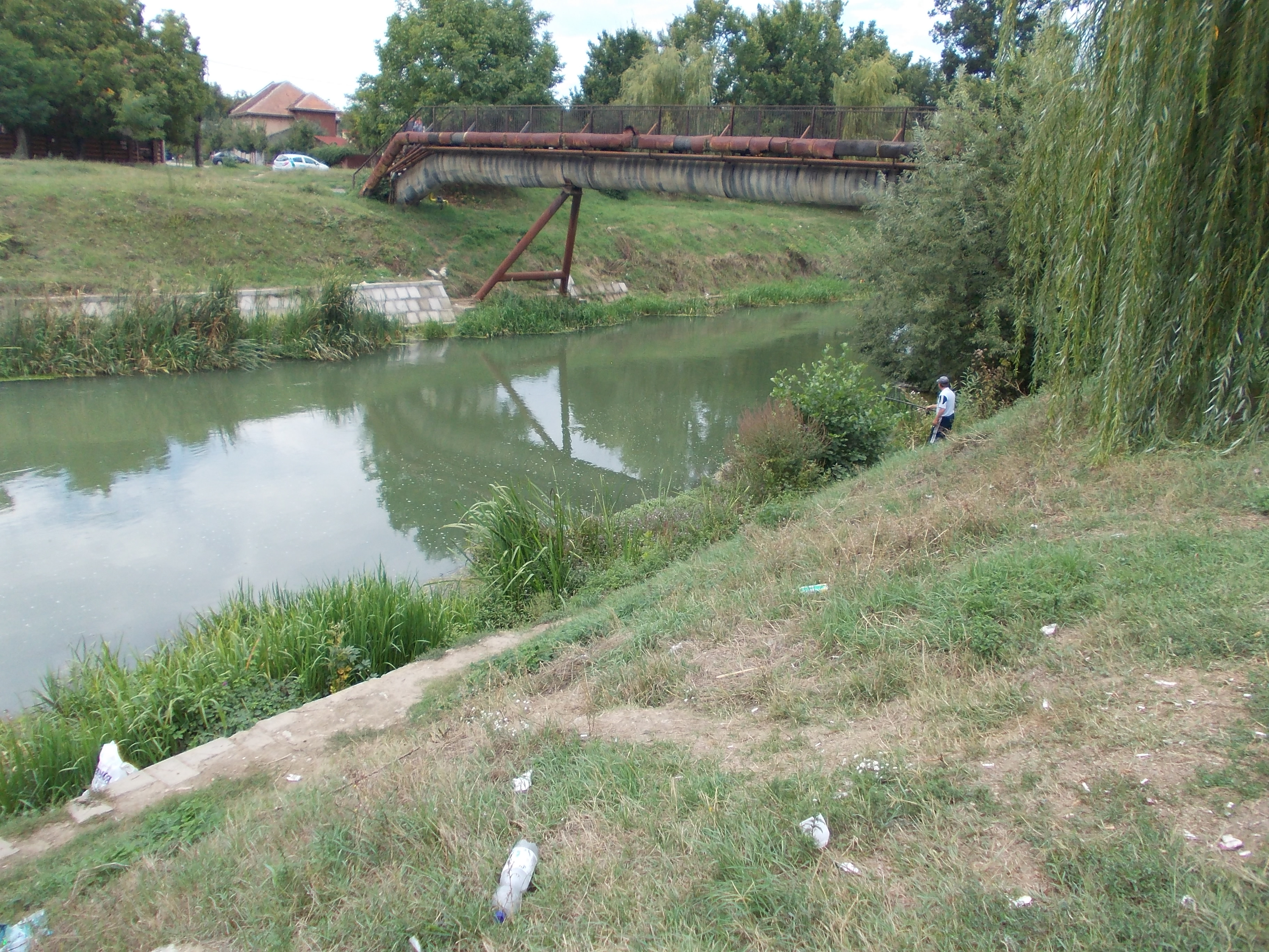 An nou, idei noi. Cinci poduri noi ar putea fi construite peste raul Bega
