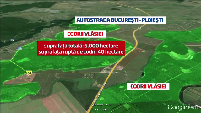 Pasaj subteran pentru caprioare. De ce vor ecologistii inchiderea traficului pe Bucuresti-Ploiesti