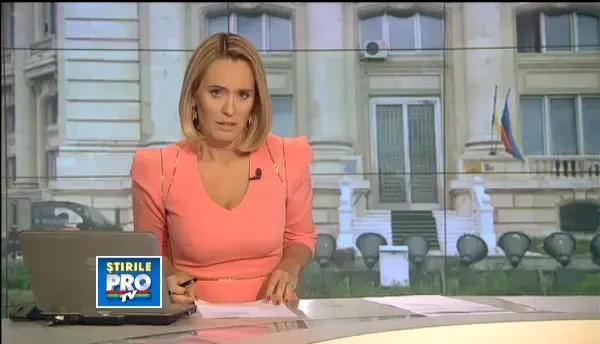 Legea prin care vor fi eutanasiati cainii fara stapan, contestata la CCR de 30 de parlamentari