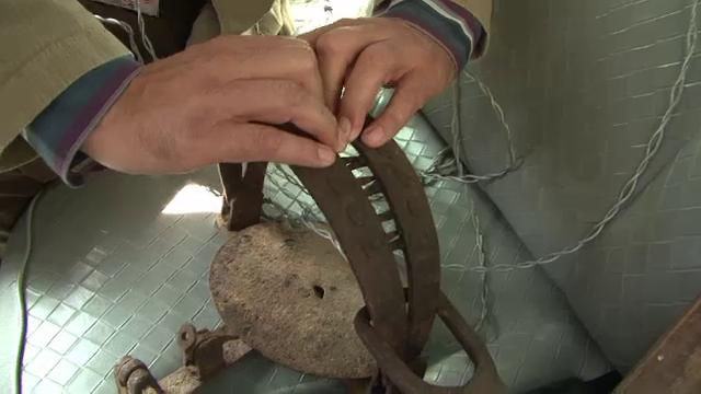 Fenomenul braconajului scapat de sub control in Romania. Pretul pentru care ursii sunt ucisi ilegal