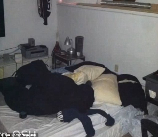 Erau convinsi ca ii bantuie o fantoma. S-au speriat ingrozitor cand au vazut ce se afla la subsol