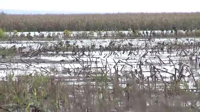 Inundatiile din Galati: 227 locuinte distruse, 4.000 de hectare de terenuri agricole afectate