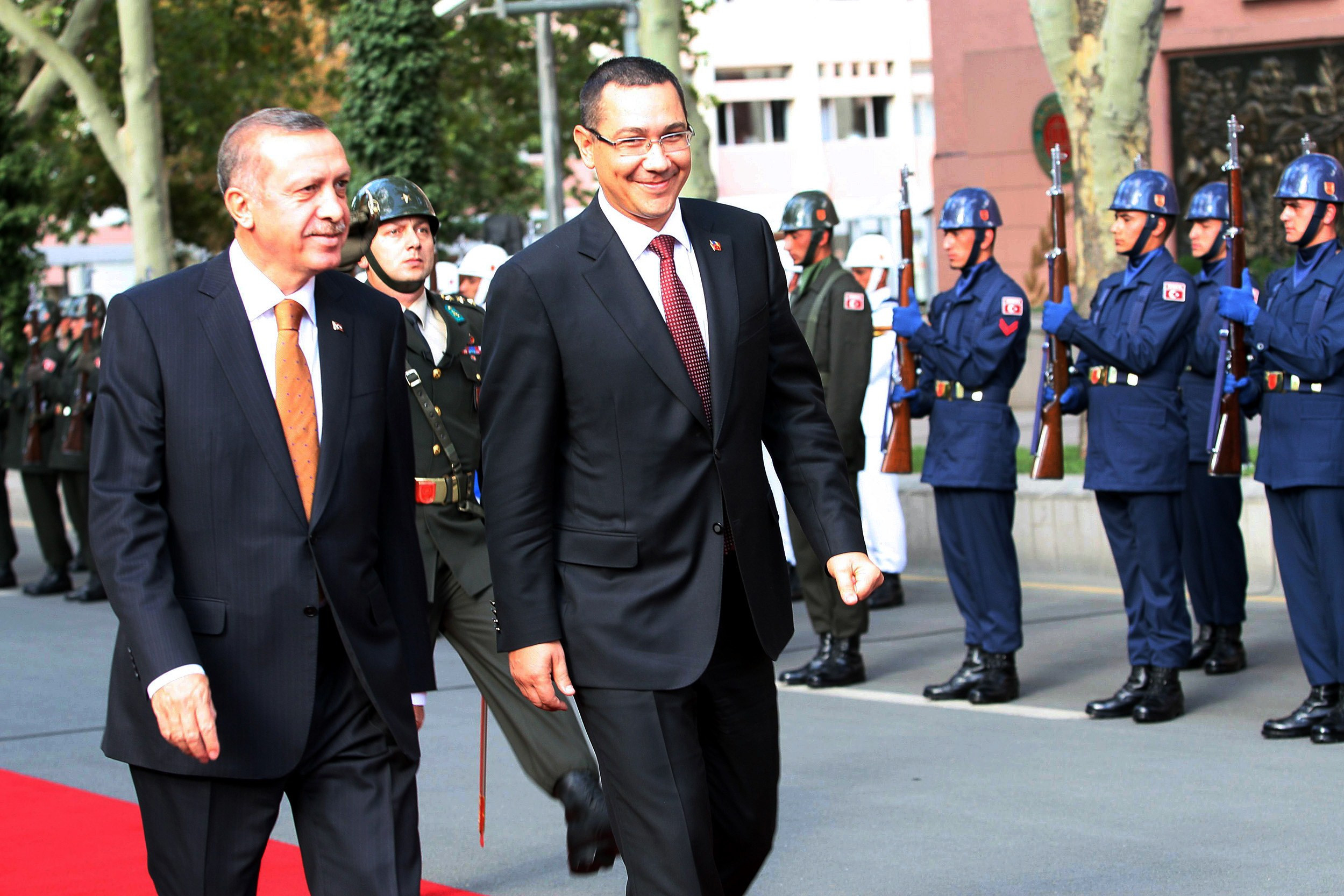 Guvernul estimeaza ca in curand va putea fi reluat exportul in Turcia de carne de oaie