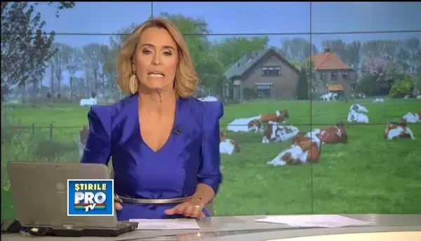 Dar din dar se face rai. Taranii din Apuseni au grija de copiii abandonati