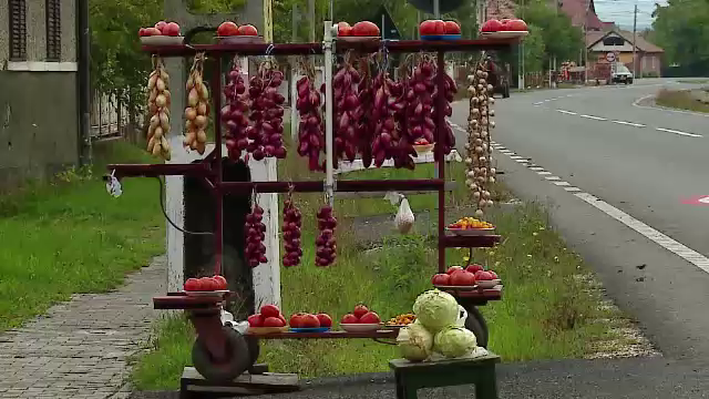 Afaceri profitabile in fata portii. Cat platesc clientii pentru legumele luate direct de la gospodar