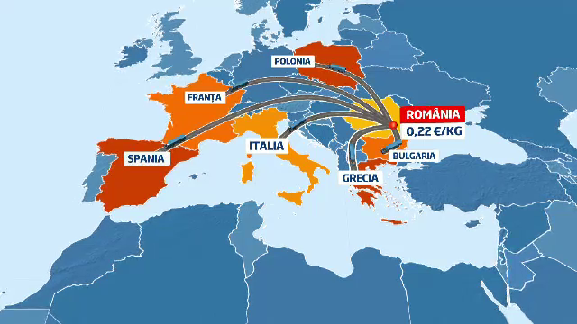 Cartofii romanesti iau drumul Europei. De ce platim mai mult pe un kg cand recolta e dubla