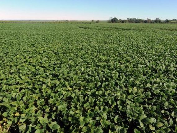 China "isi cumpara" o tara langa Romania