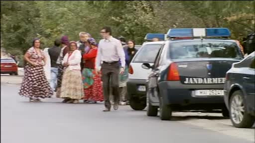 De la programatorii lui Ceausescu la tranzactii de software cu tiganii din Sintesti si zugravi. Acuzatiile aduse Irinei Socol