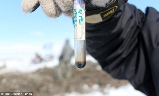 Eprubeta care ar putea revolutiona viata pe pamant: "Trupul de mamut s-a conservat foarte bine"