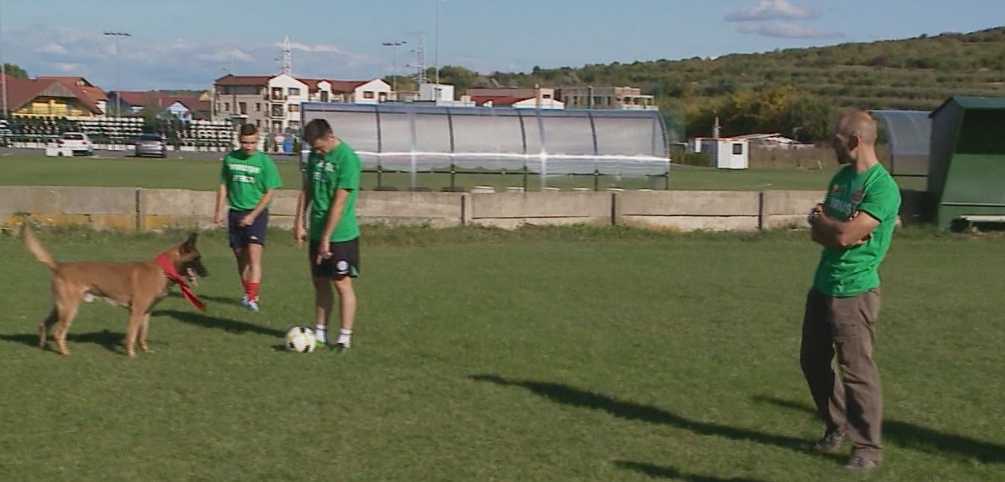 Virusii verzi au invatat sa dreseze "cainii"