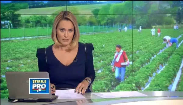 Drepturile minorilor angajati. Ce trebuie sa stie Ionut, ciobanul care lucreaza de la 13 ani