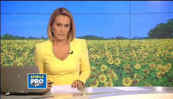 Vestile bune ale unei super-recolte la floarea soarelui. Pretul uleiului ar putea scadea si cu 20%