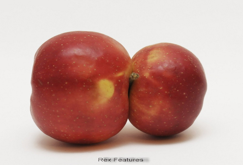 Marul siamez gasit de un barbat in curtea casei sale. "N-am mai vazut niciodata asa ceva"