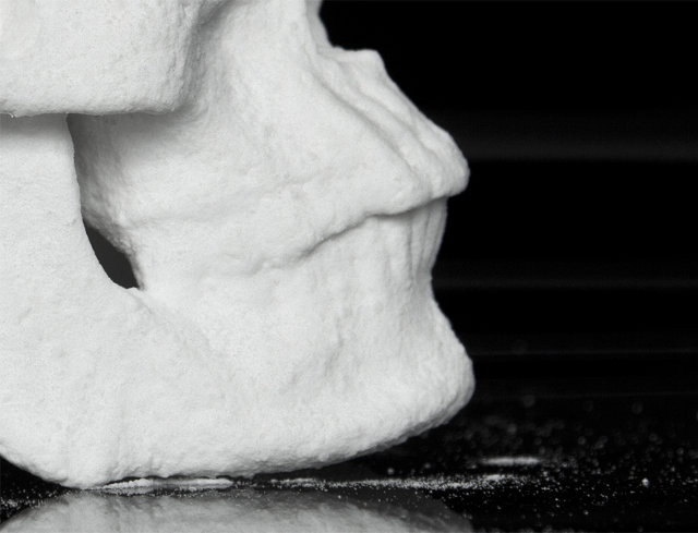 Stramosii omului apartineau unei singure specii, indica un craniu vechi de 1,8 milioane de ani