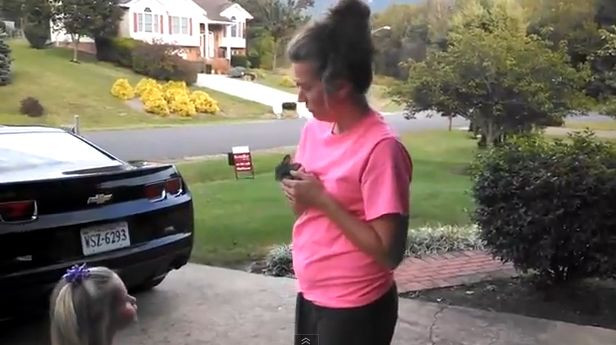 Clipul zilei. Un iepure eliberat de o femeie este insfacat la scurt timp de un soim. VIDEO