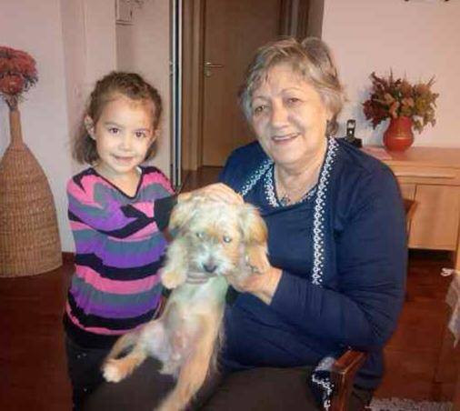 Familia premierului Victor Ponta a adoptat un caine. "Fredy, un maidanez care are acum o familie"