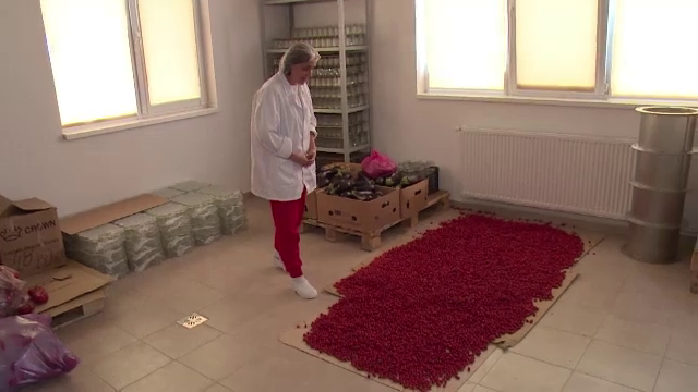 Exemplele celor care nu s-au dat batuti si, prin harnicie si ambitie, au ajuns din someri patroni